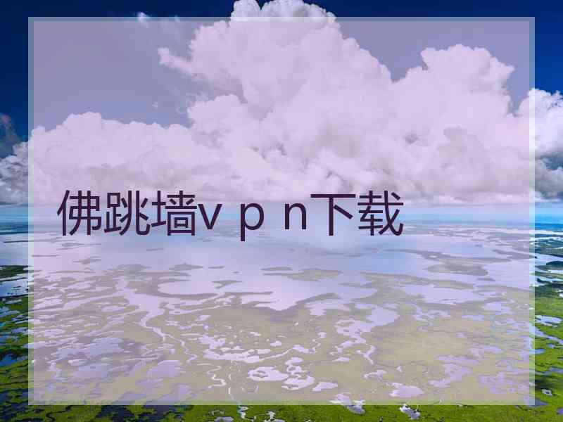 佛跳墙v p n下载