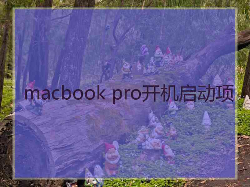 macbook pro开机启动项