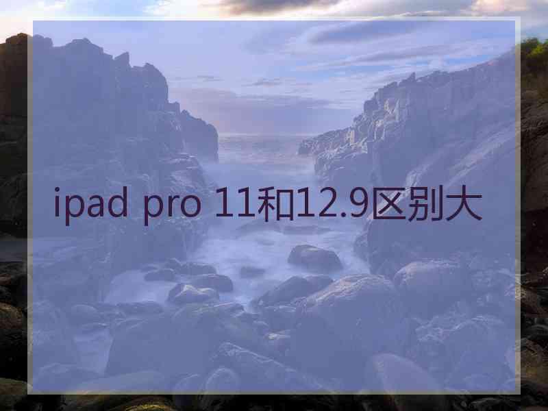 ipad pro 11和12.9区别大