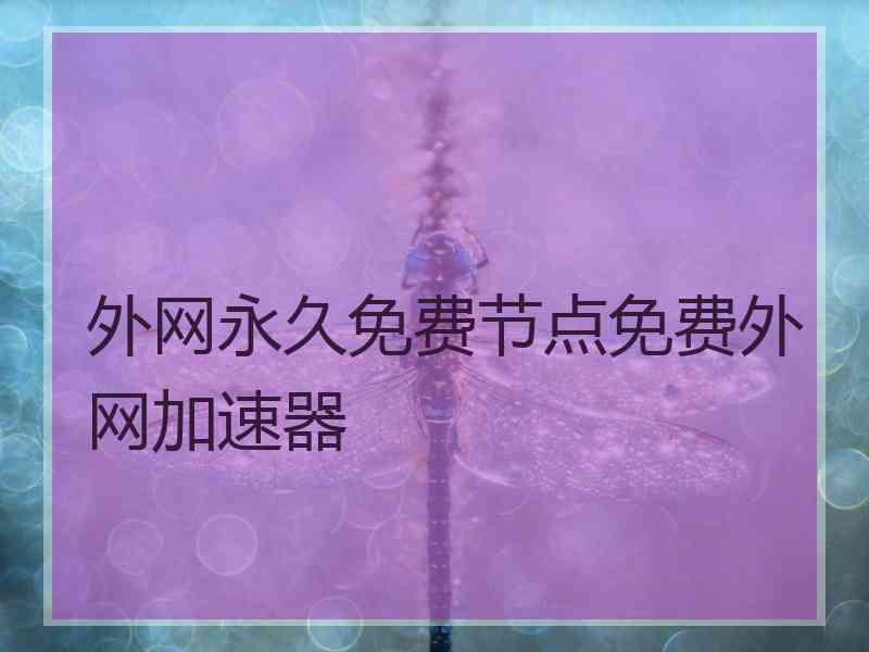 外网永久免费节点免费外网加速器