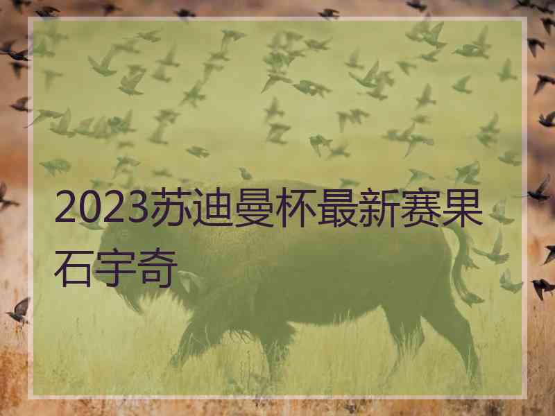 2023苏迪曼杯最新赛果石宇奇