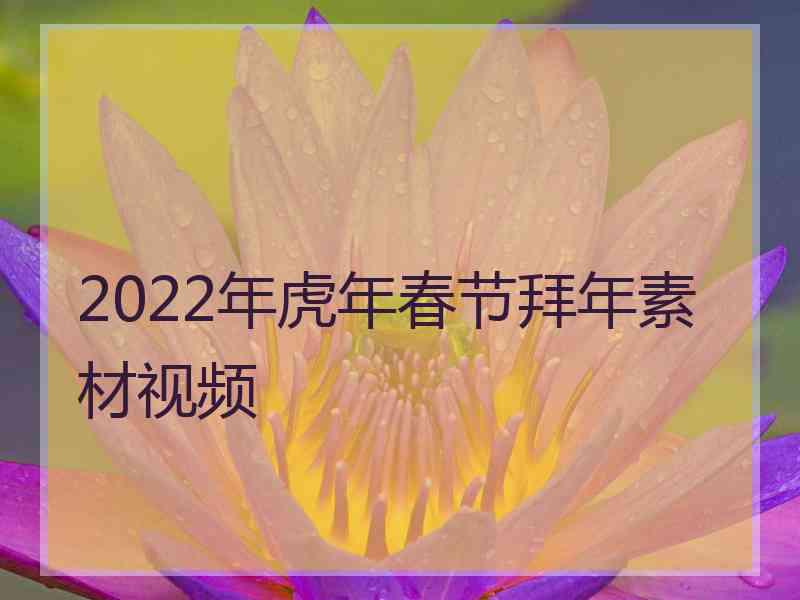 2022年虎年春节拜年素材视频