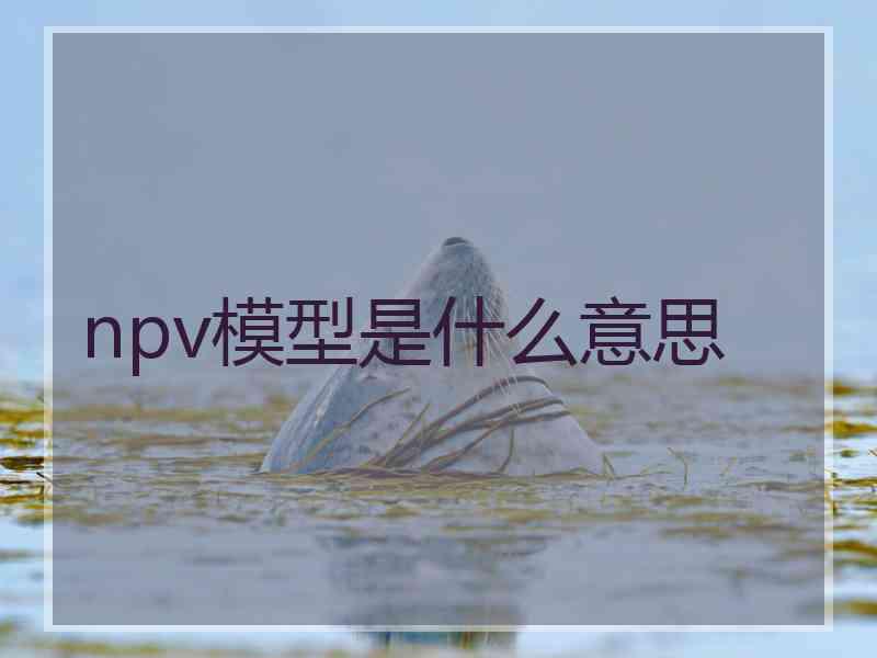 npv模型是什么意思