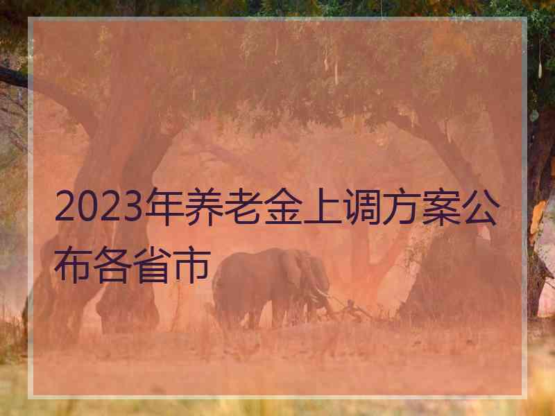 2023年养老金上调方案公布各省市