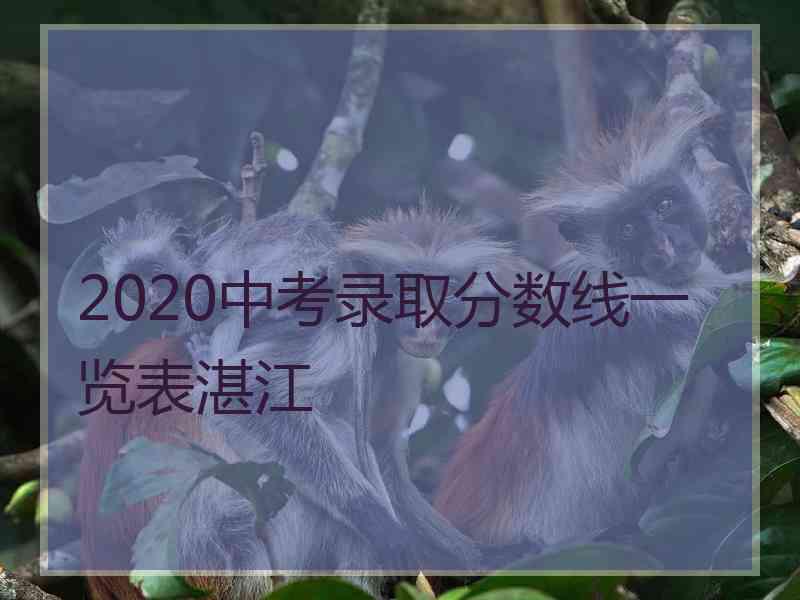 2020中考录取分数线一览表湛江