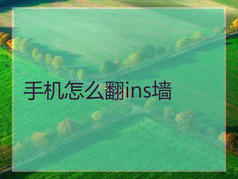 手机怎么翻ins墙