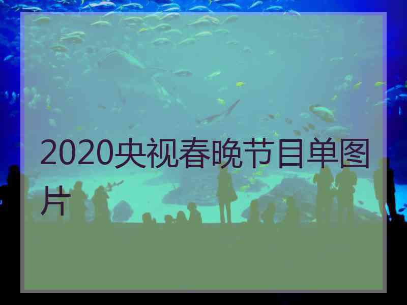 2020央视春晚节目单图片