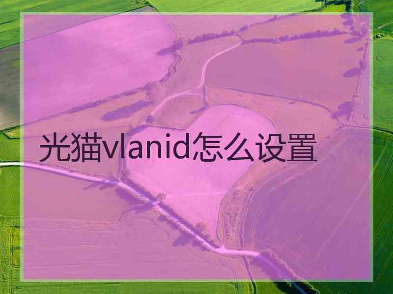 光猫vlanid怎么设置