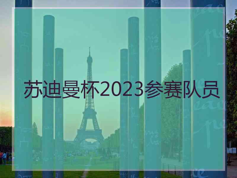 苏迪曼杯2023参赛队员