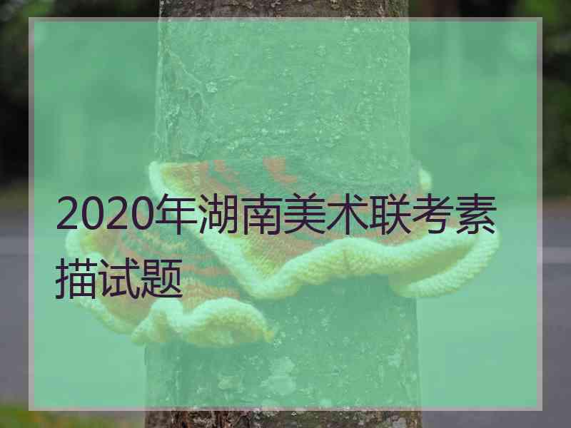 2020年湖南美术联考素描试题