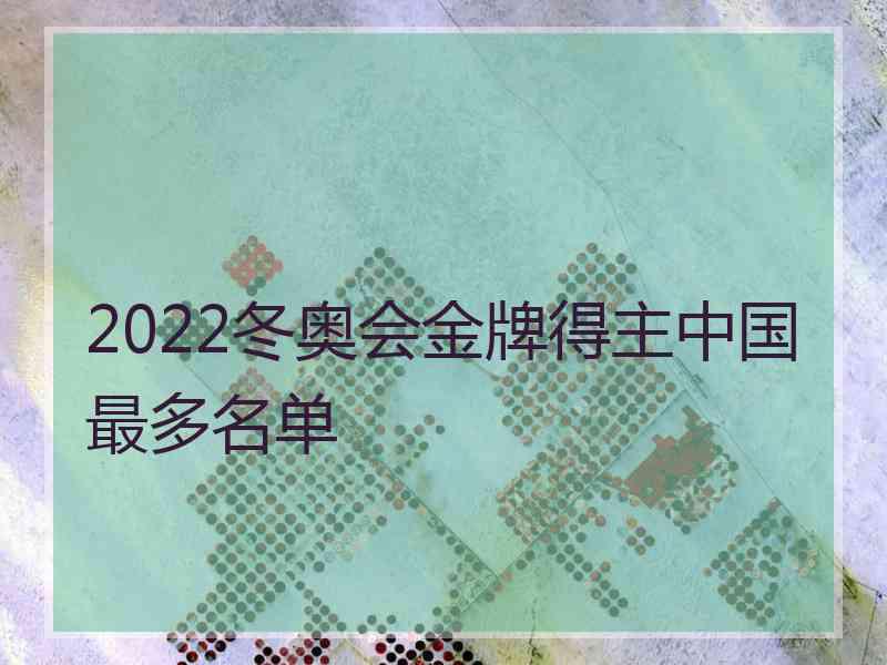 2022冬奥会金牌得主中国最多名单