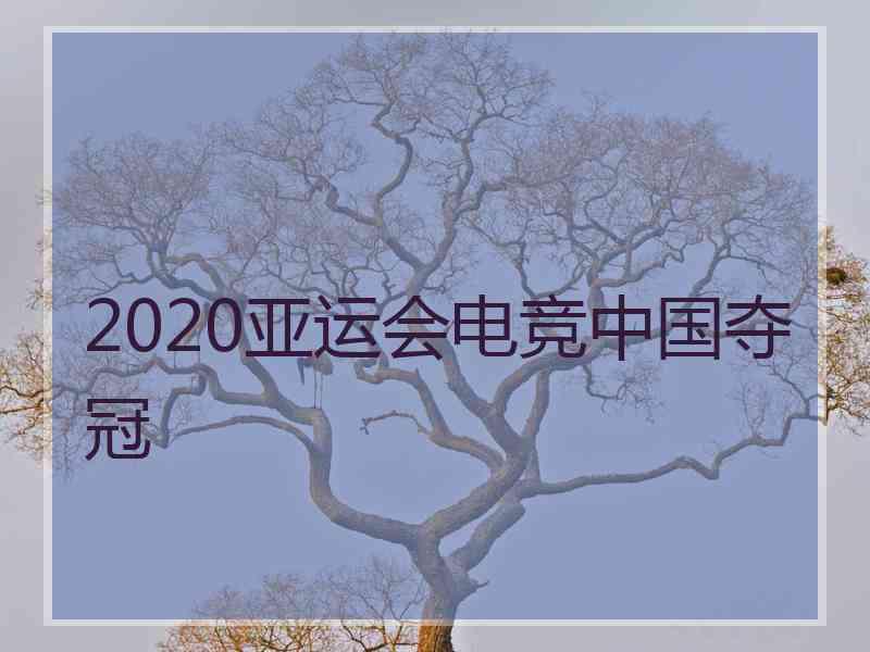 2020亚运会电竞中国夺冠