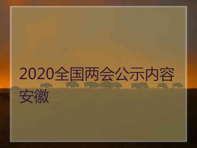 2020全国两会公示内容安徽