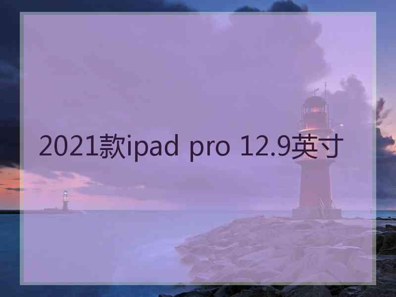 2021款ipad pro 12.9英寸