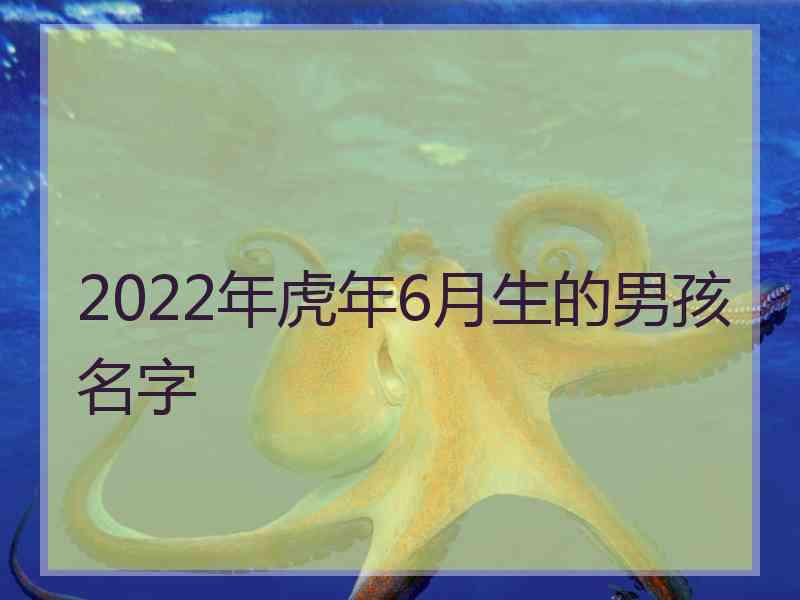 2022年虎年6月生的男孩名字