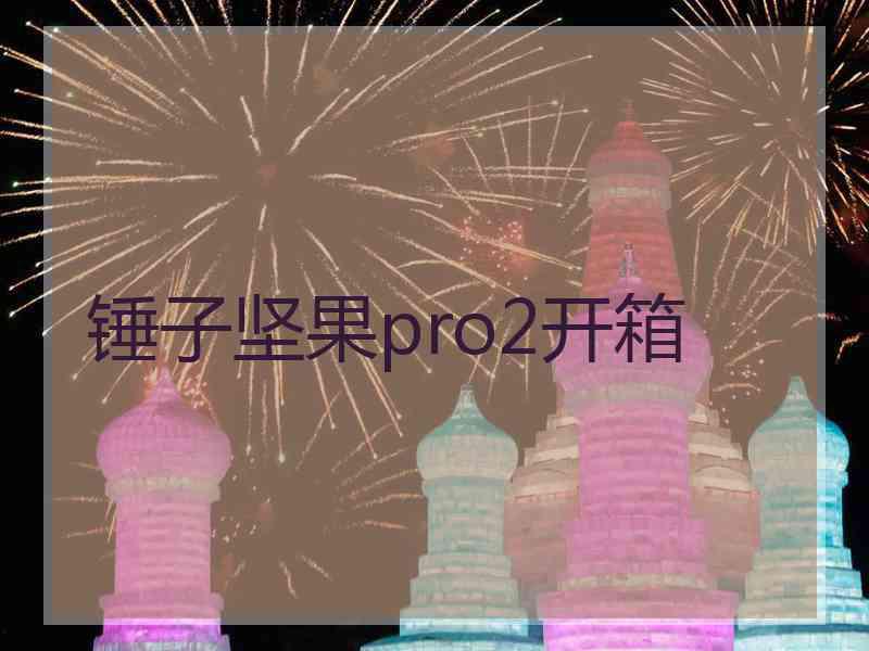 锤子坚果pro2开箱