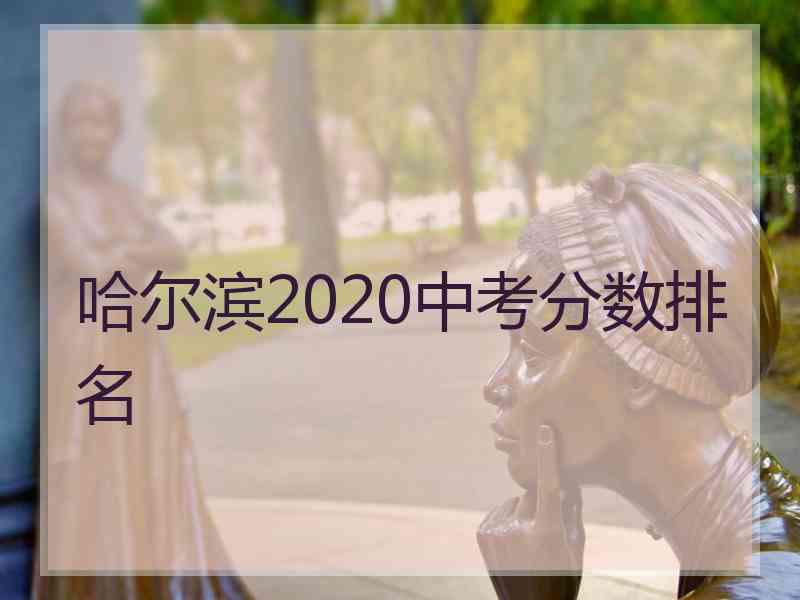 哈尔滨2020中考分数排名