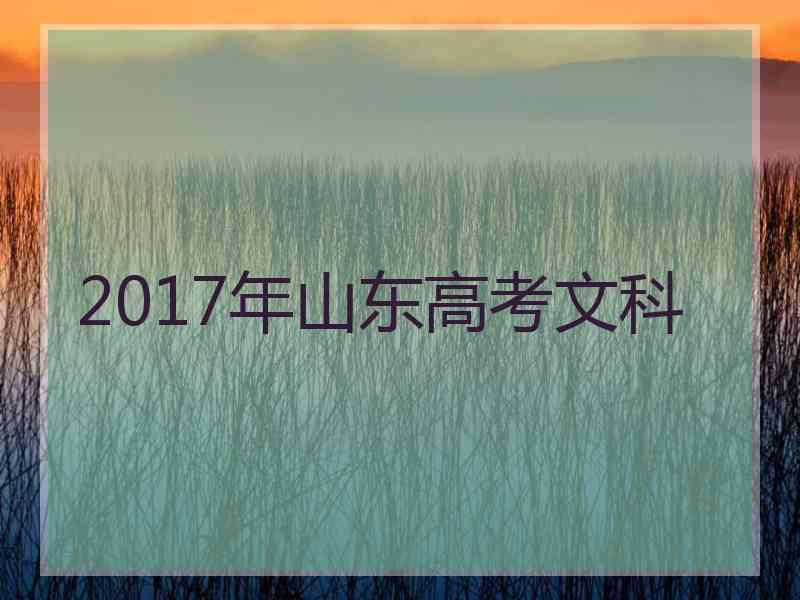 2017年山东高考文科