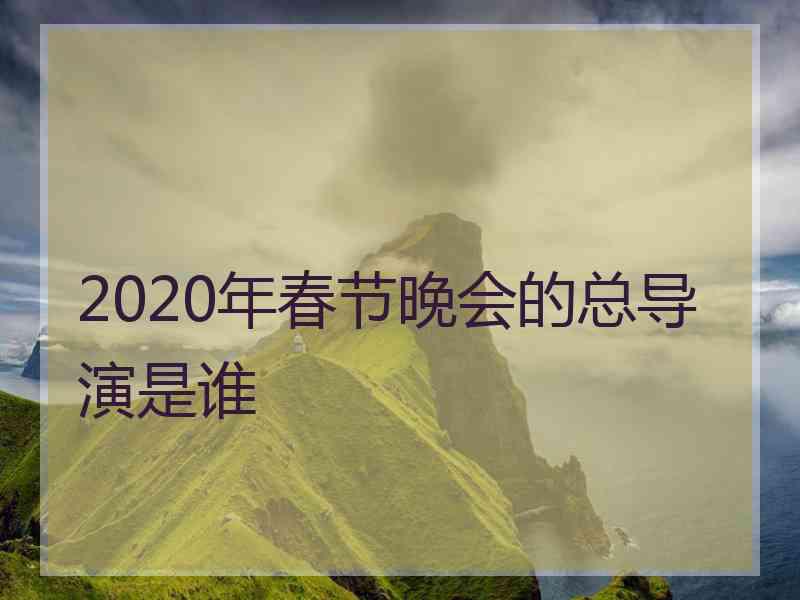 2020年春节晚会的总导演是谁