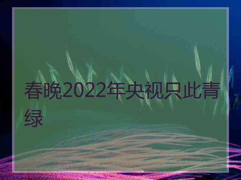 春晚2022年央视只此青绿