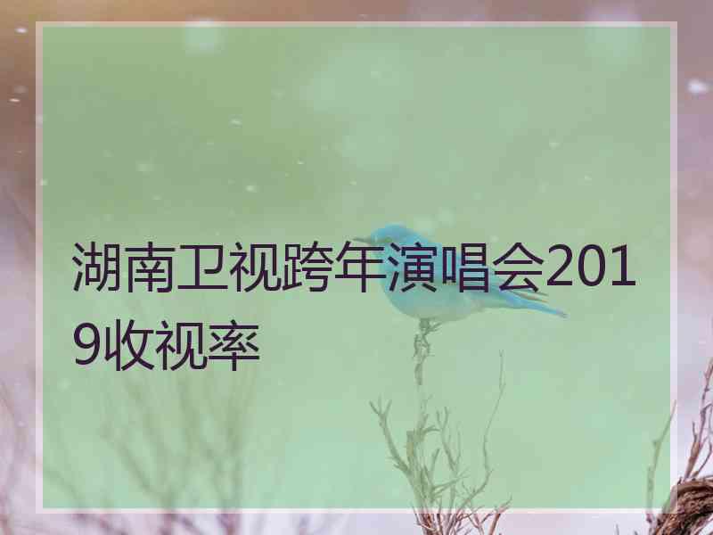 湖南卫视跨年演唱会2019收视率