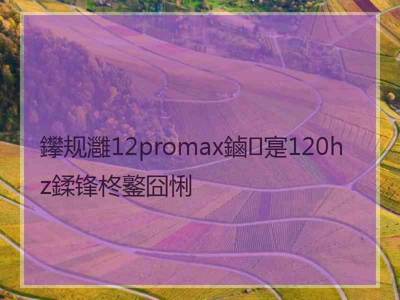 鑻规灉12promax鏀寔120hz鍒锋柊鐜囧悧