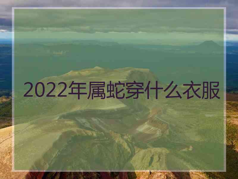 2022年属蛇穿什么衣服