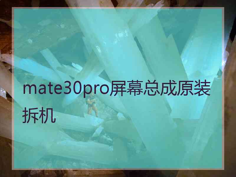 mate30pro屏幕总成原装拆机