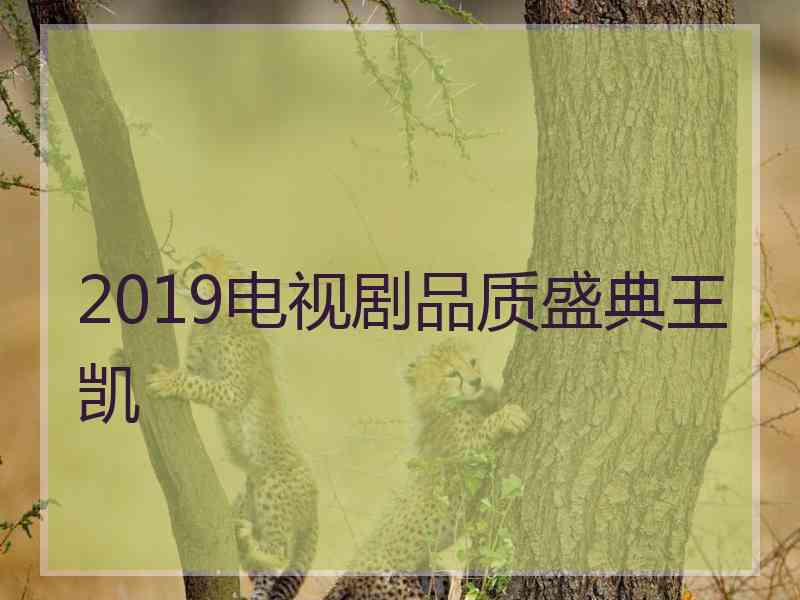 2019电视剧品质盛典王凯