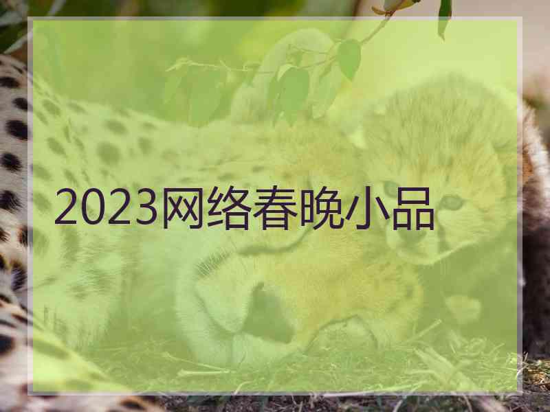 2023网络春晚小品