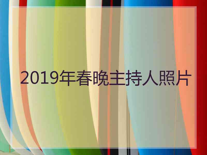 2019年春晚主持人照片