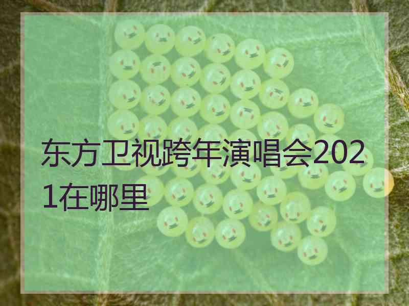 东方卫视跨年演唱会2021在哪里