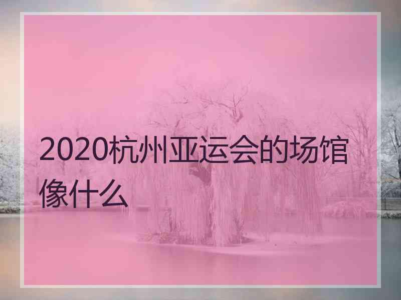 2020杭州亚运会的场馆像什么