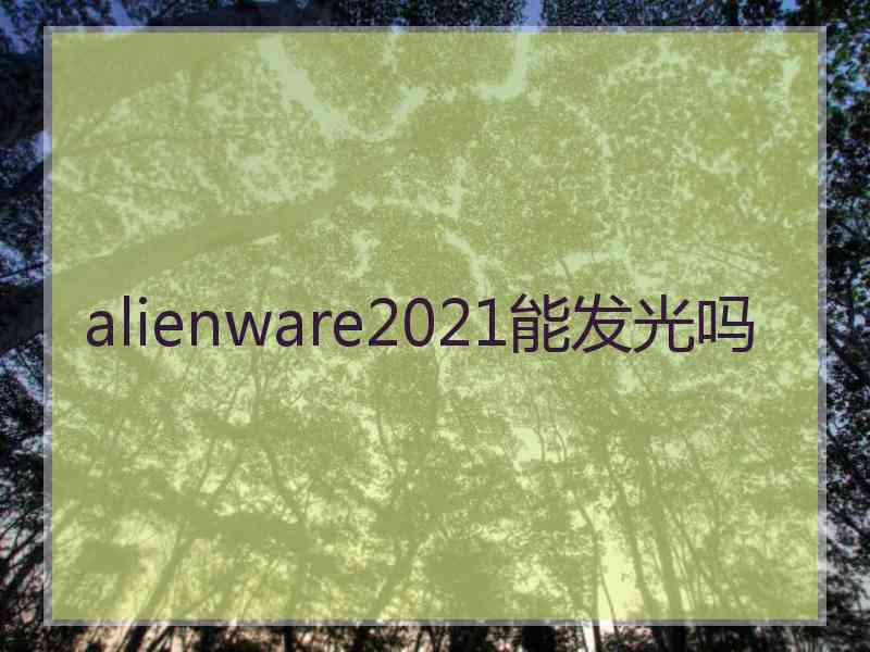 alienware2021能发光吗