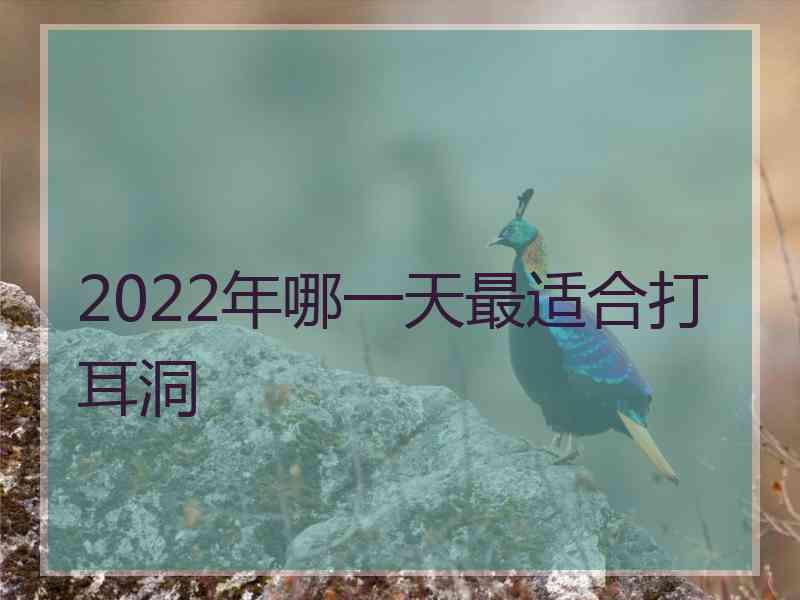 2022年哪一天最适合打耳洞