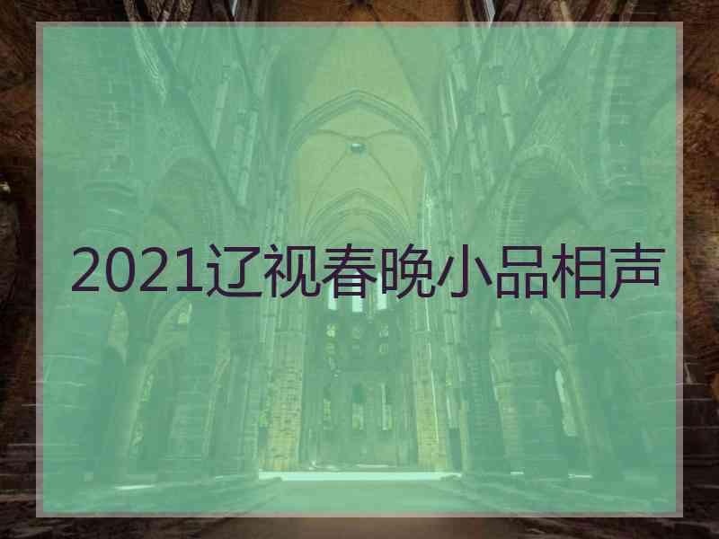 2021辽视春晚小品相声