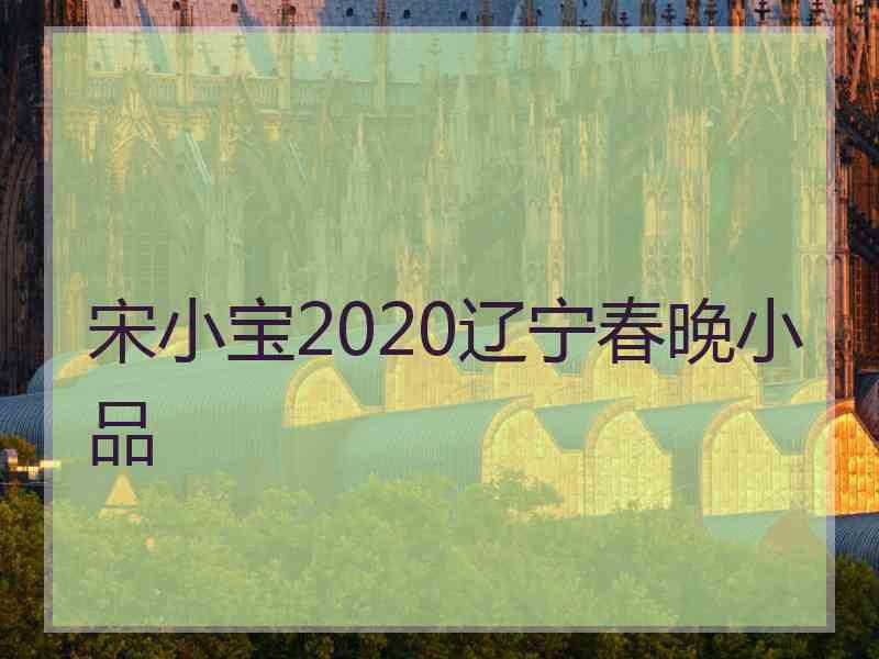 宋小宝2020辽宁春晚小品