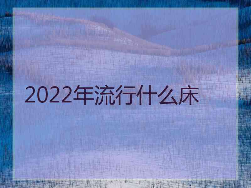 2022年流行什么床