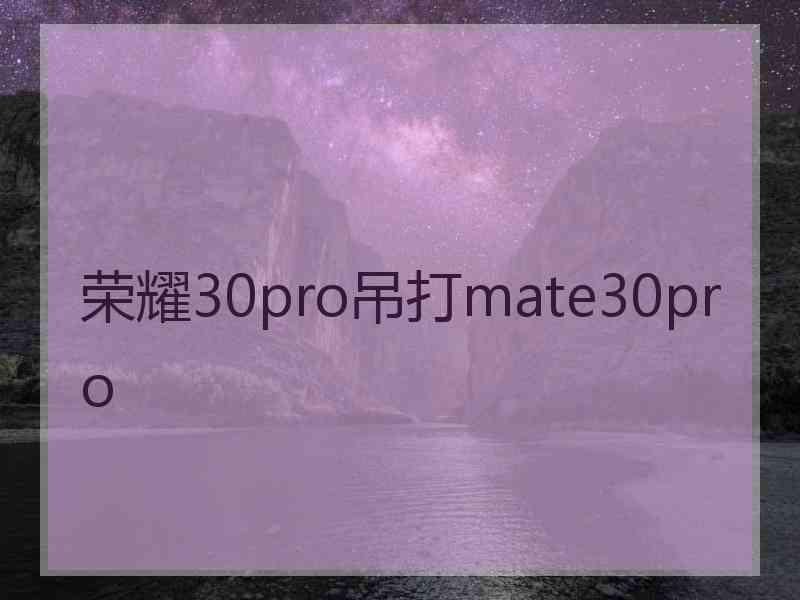 荣耀30pro吊打mate30pro