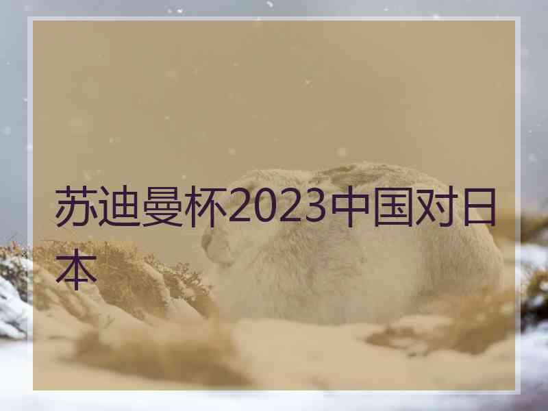 苏迪曼杯2023中国对日本