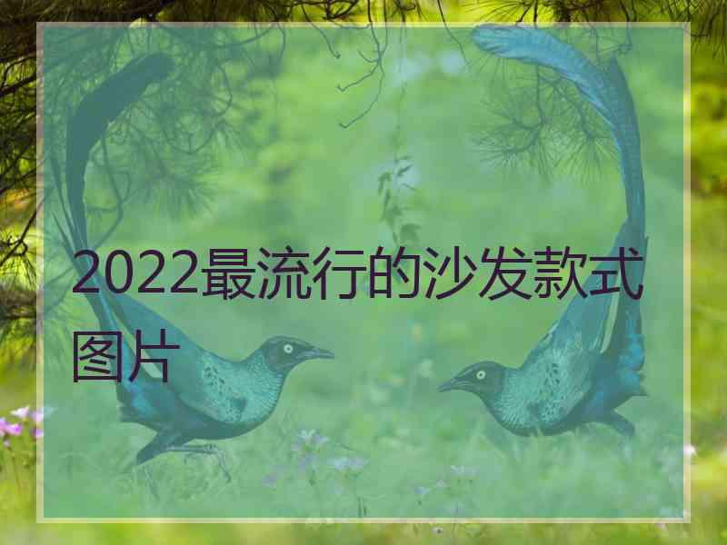 2022最流行的沙发款式图片