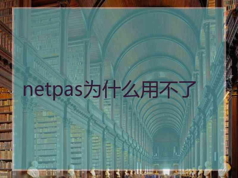 netpas为什么用不了