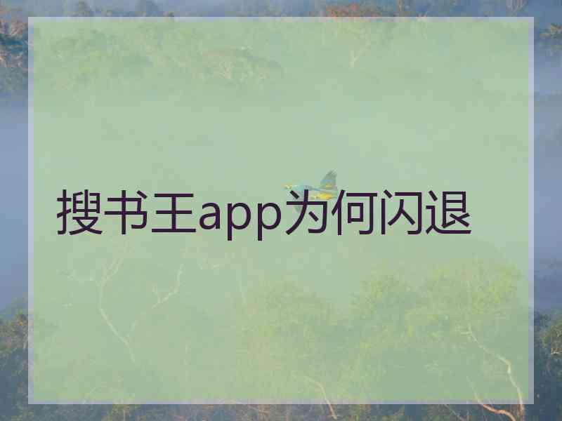 搜书王app为何闪退