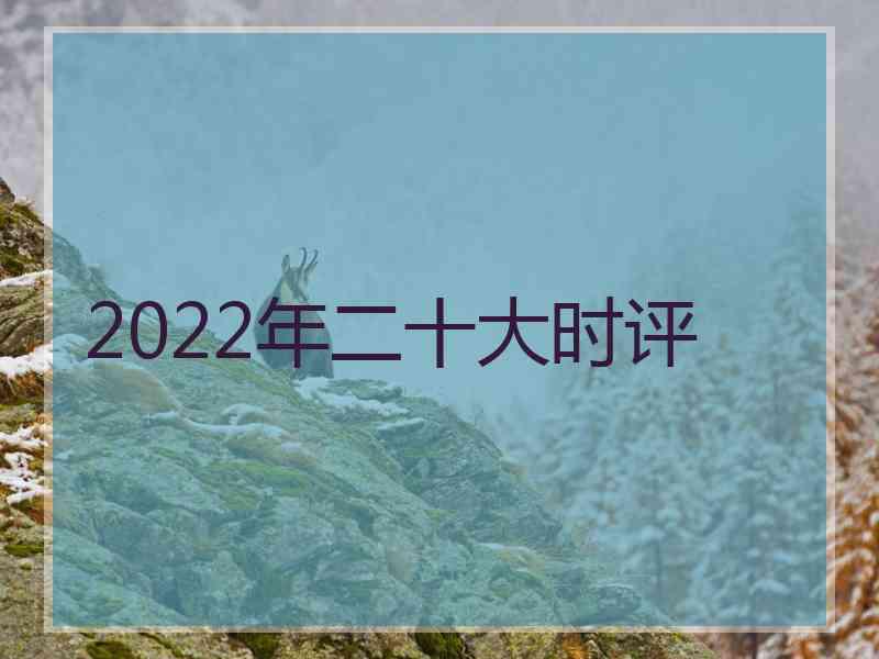 2022年二十大时评