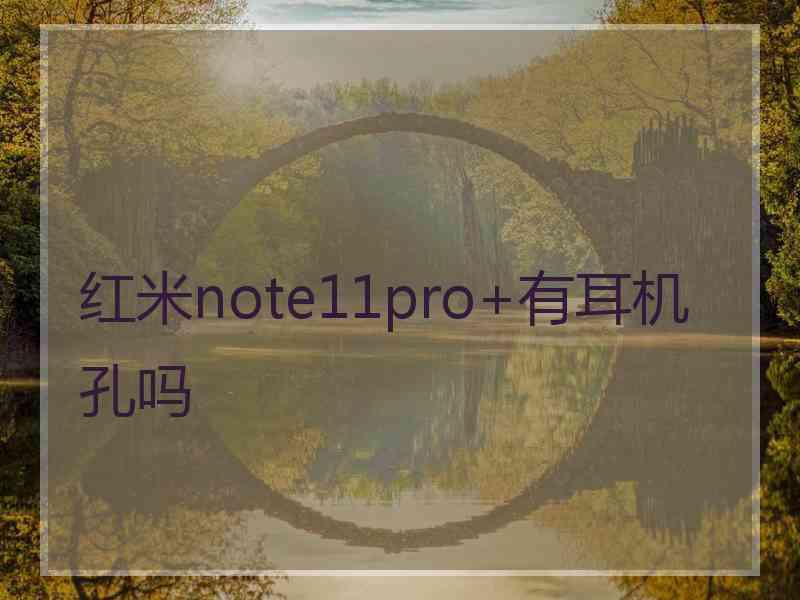 红米note11pro+有耳机孔吗