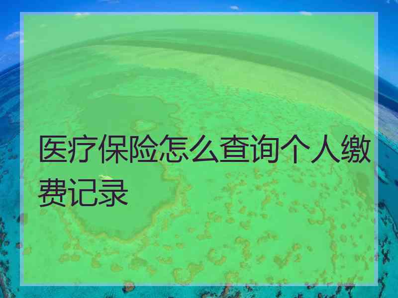 医疗保险怎么查询个人缴费记录