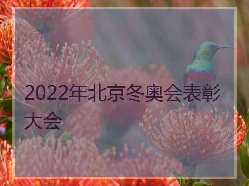 2022年北京冬奥会表彰大会