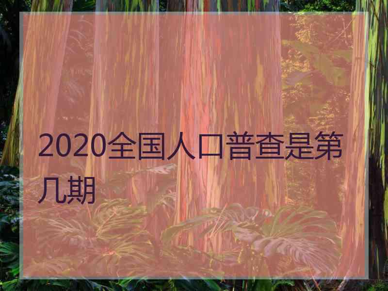 2020全国人口普查是第几期