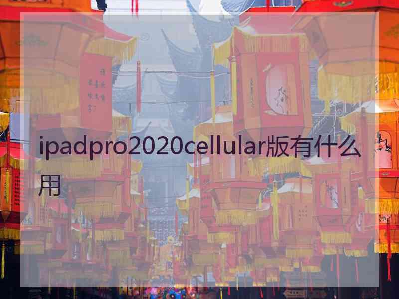 ipadpro2020cellular版有什么用