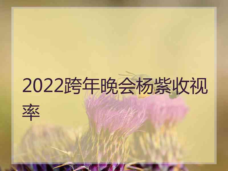 2022跨年晚会杨紫收视率